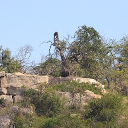 2015-05 South Africa/iMfolozi/DSC_0254.JPG